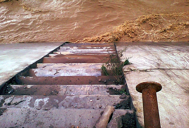 image001.jpg